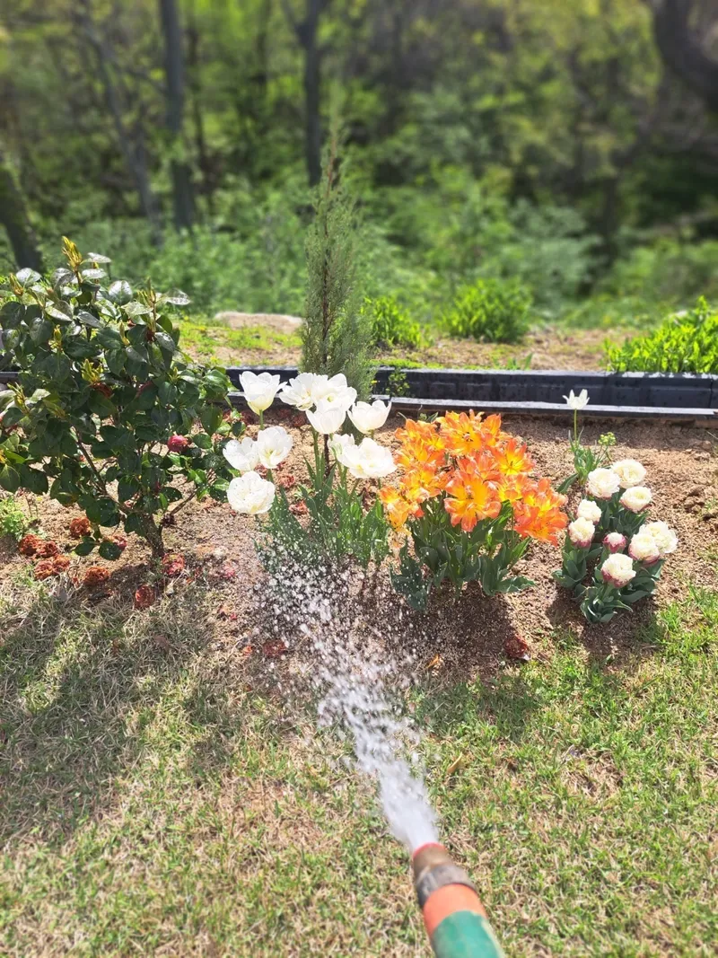 [Miryang] 140 pyeong wide independent yard in Mountain View, all fenced detached house #Dogs allowed 28