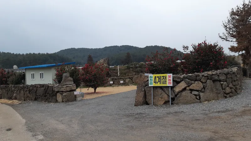 [Pyoseon, Seogwipo] 102nd house in a country house full of humanity in a palm tree forest by the sea 26