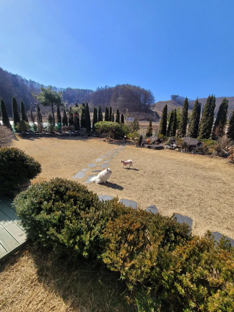 [충북 청주] 조용한 전원마을에 위치한 청정 독채 #애견동반가능 15