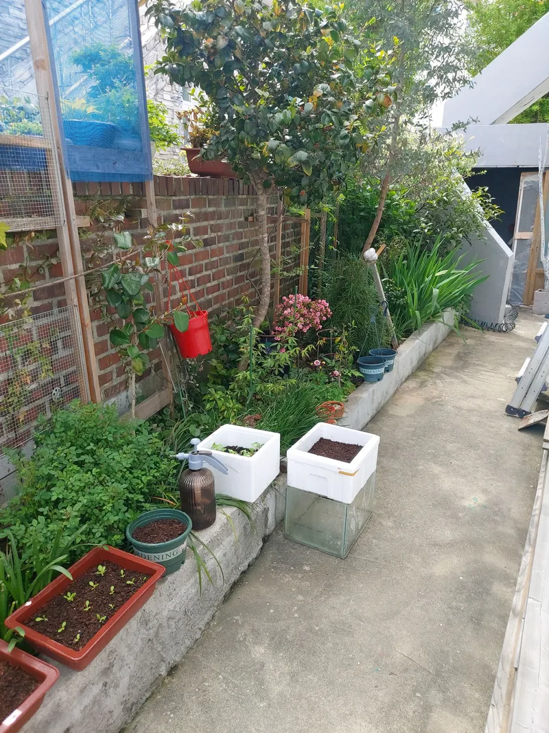 [경남 통영] 미륵산밑 조용한 단독주택 23