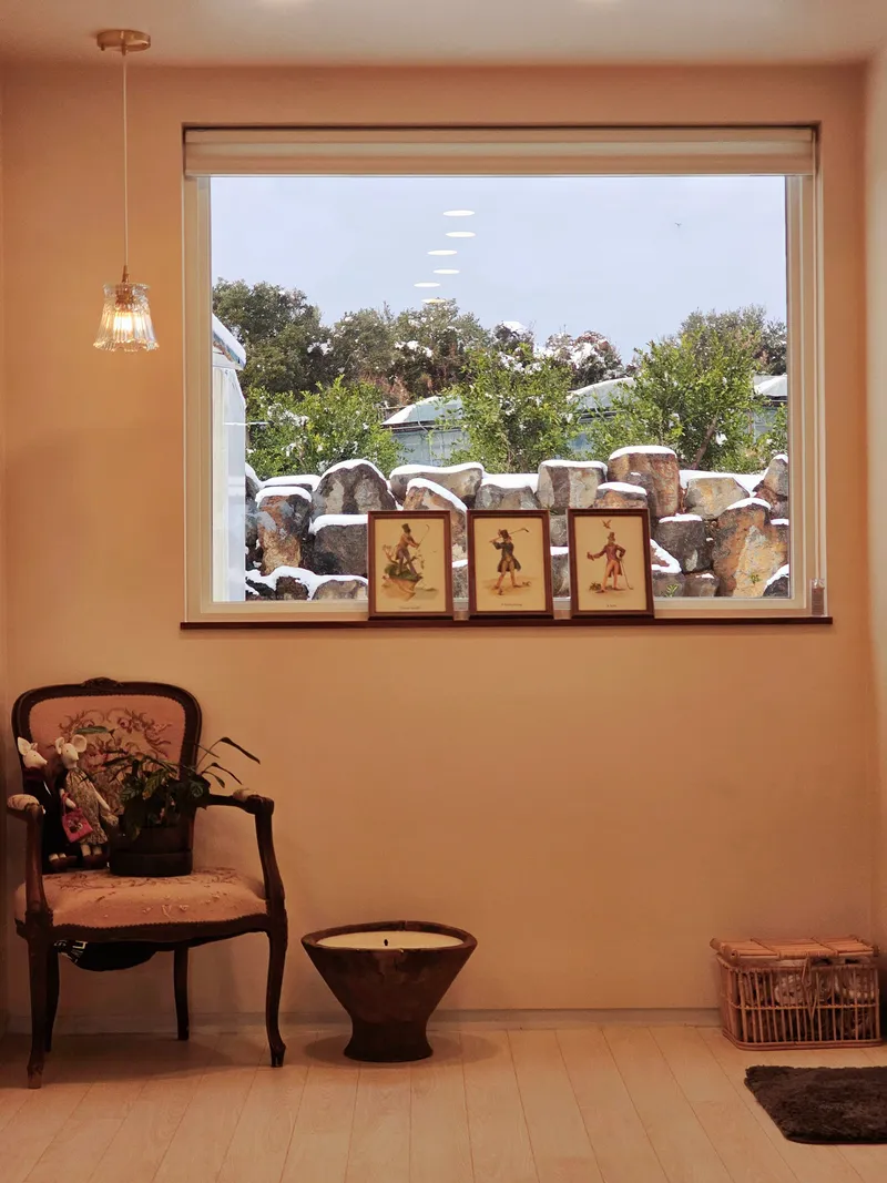 [Namwon, Seogwipo] Family room. Two-room. Private detached house located within the village. Pets allowed. Free guest access. 45
