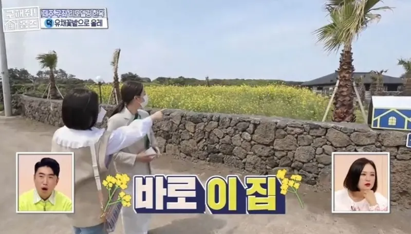[제주 구좌] #전통돌담집#구해줘홈즈106회방송 #바닷가 단독주택#유채꽂 27