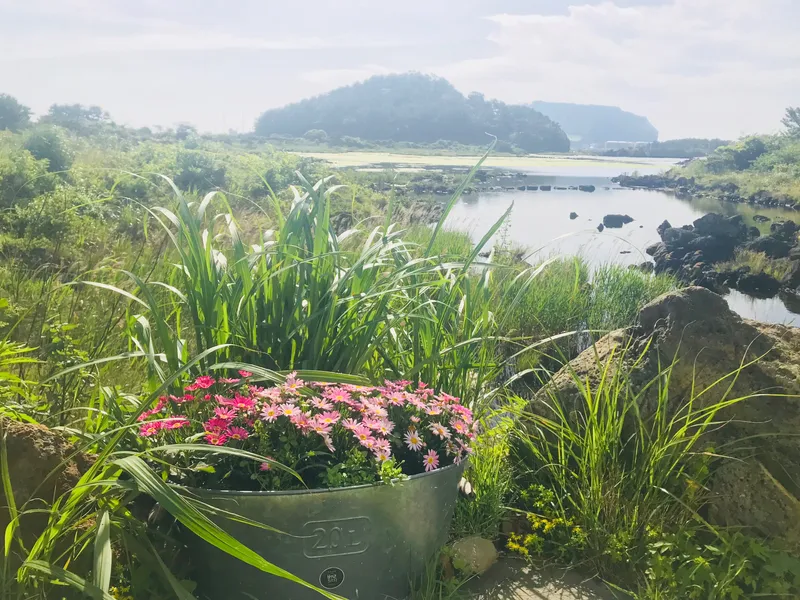 [Seongsan, Seogwipo] Seongsan Sunrise Peak View Cozy Attic Duplex #204 Bus Stop 1 Minute Vacation Available 26