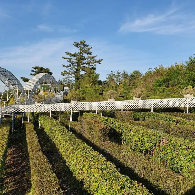 [Gangjin] Garden 2, a vacation spot in a 20,000-pyeong garden #Pets allowed 24