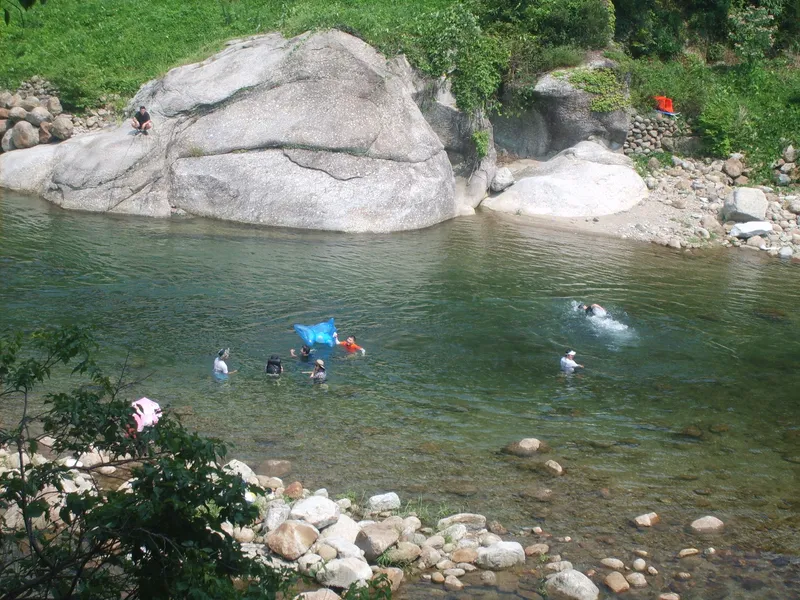 [Hadong] Jirisan Ssanggyesa Seomjin River Hwagae Market Yeongho-nam Place No. 205 16