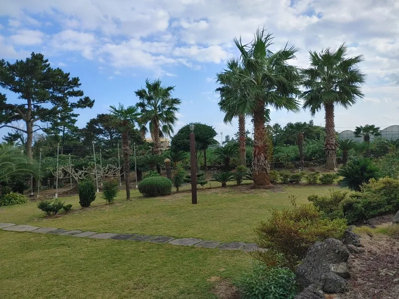 [Seongsan, Seogwipo] A two-story detached house with palm trees and a large lawn garden 23