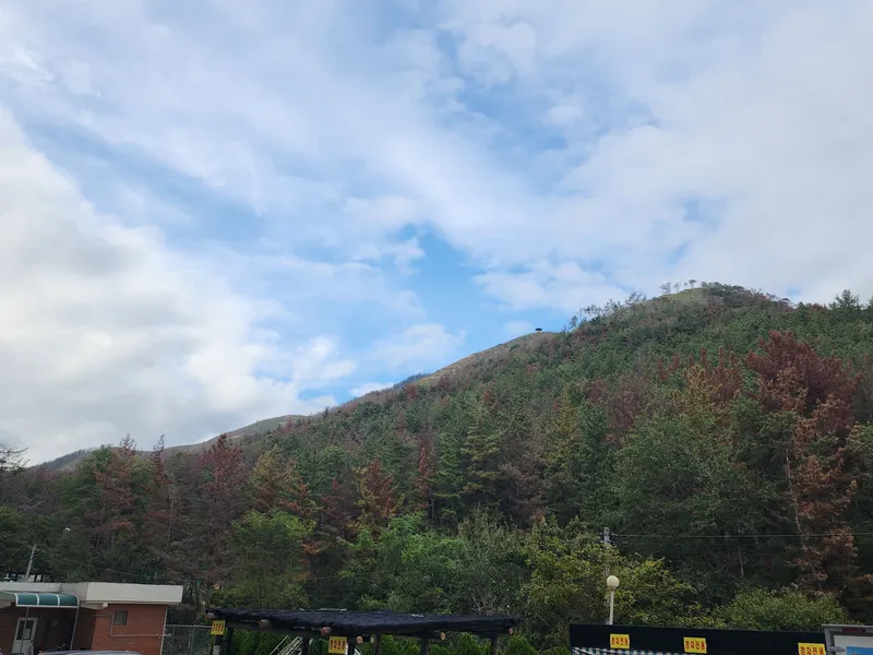 [경남 밀양] 춘복타워맨션 43
