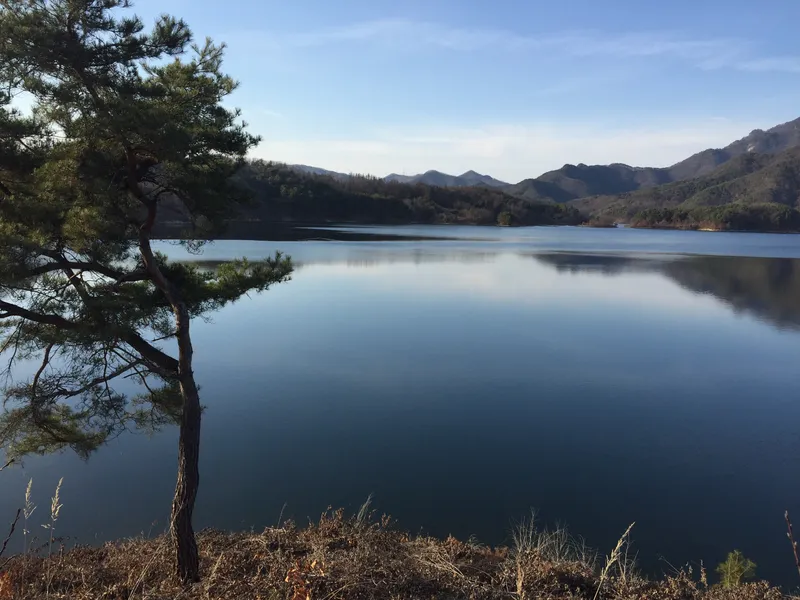 [Hoengseong] Artist's country villa with a great lake view 19