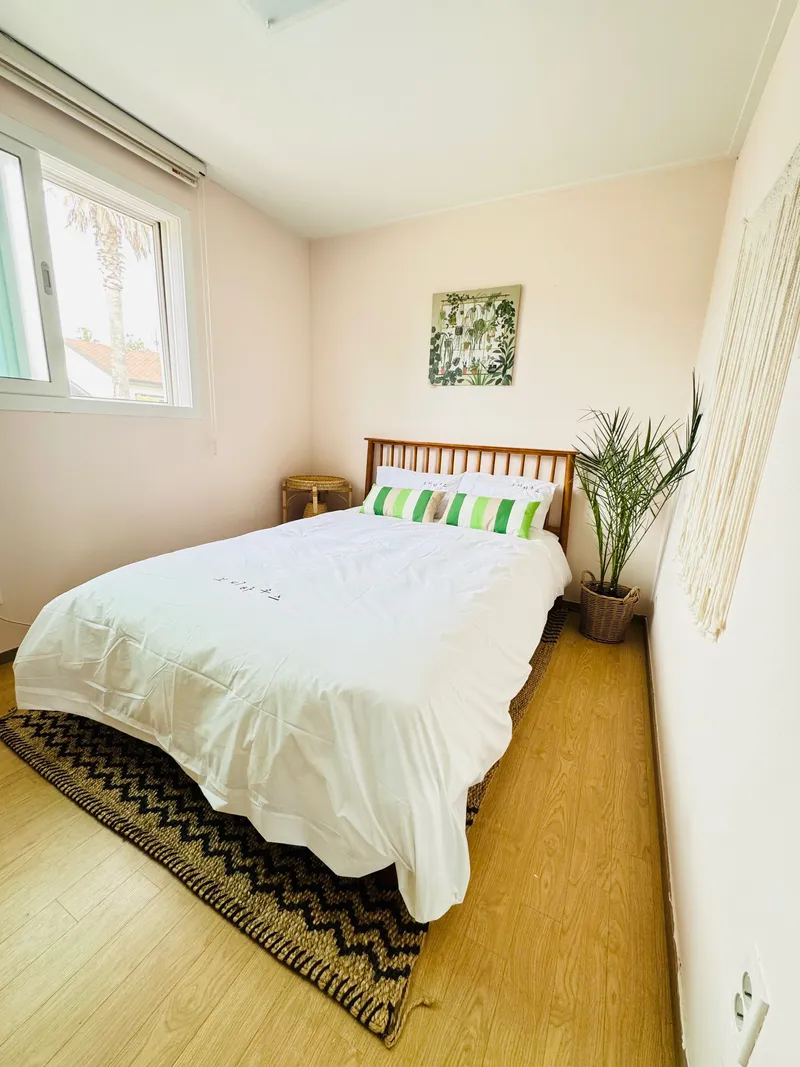 [Namwon, Seogwipo] A quiet rural village with camellia trees and stargazing / Experience the local life / Private house 8