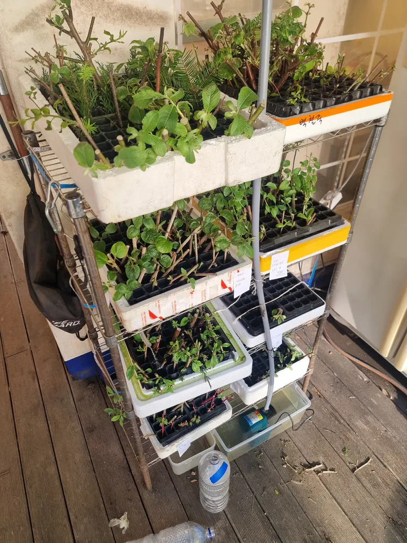 [경기 가평] 북한강변 호명산에서 살아보기. 블랙 7