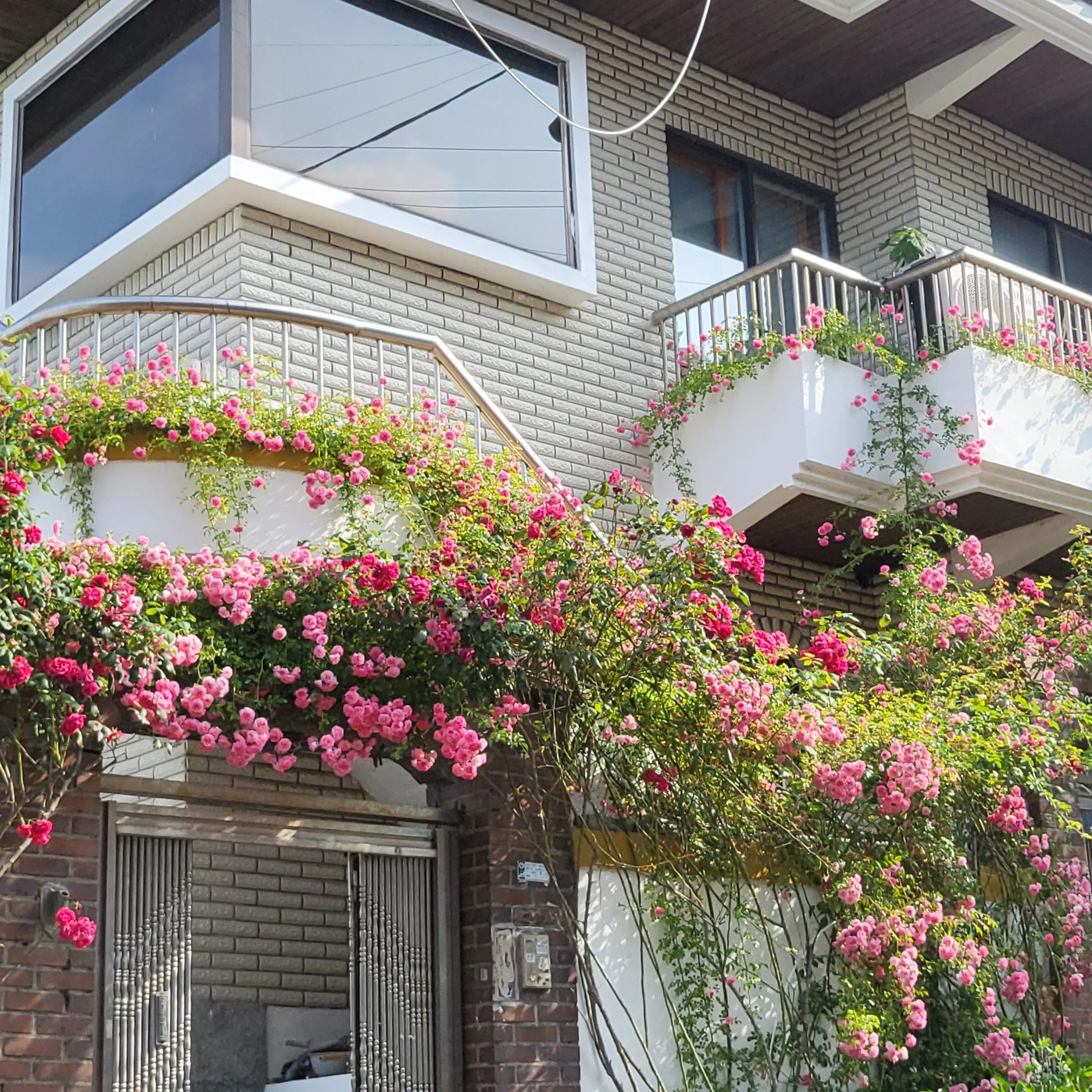 Sinseon-dong Ocean View Two-Bedroom House