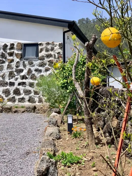 [Aewol, Jeju] Jeju's representative mountain peak front view, private jacuzzi, Insta-worthy accommodation 128