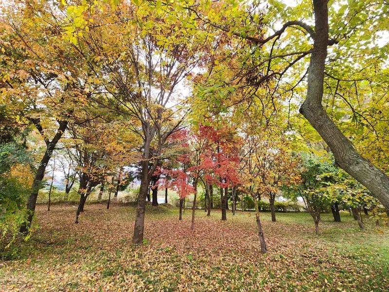 [경기 남양주] 자전거를 탄 풍경 20