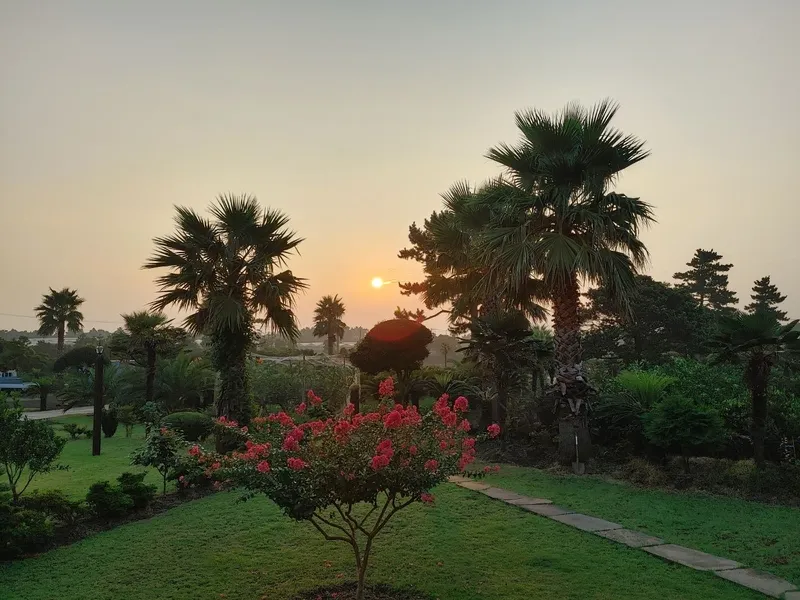 [Seongsan, Seogwipo] A two-story detached house with palm trees and a large lawn garden 22