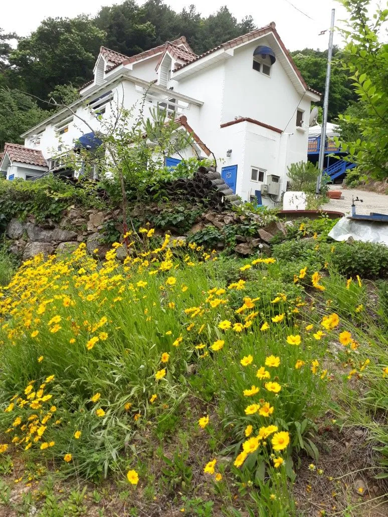 [경기 가평] 북한강변 호명산에서 살아보기.펑키2 5