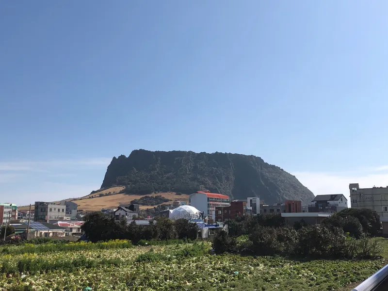 [Seongsan, Seogwipo] Full-option duplex ocean view from my home window, Seongsan Sunrise Peak walk 28