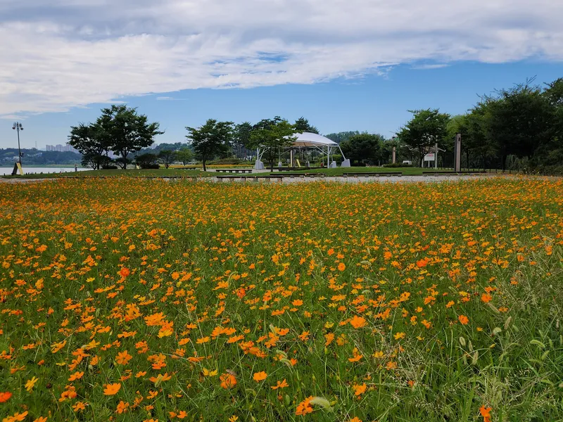 [Namyangju][Gyeonggi Namyangju-si] Three-room apartment right in front of Deokso Station and Hangang River 46