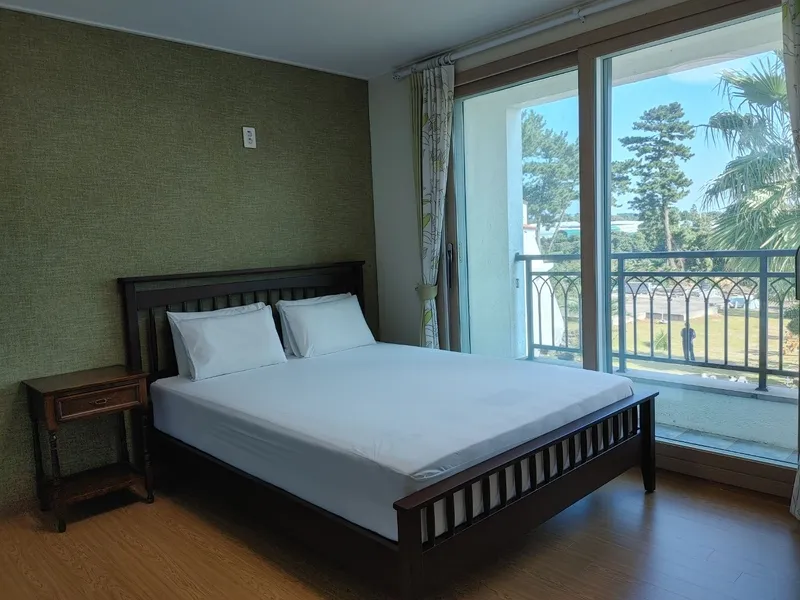 [Seongsan, Seogwipo] A two-story detached house with palm trees and a large lawn garden 3