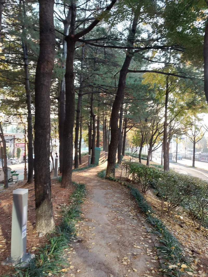 [Seo-gu, Daejeon] Dunsan-dong♡Apartment♡City view♡Free Netflix♡Business trip, practice 21