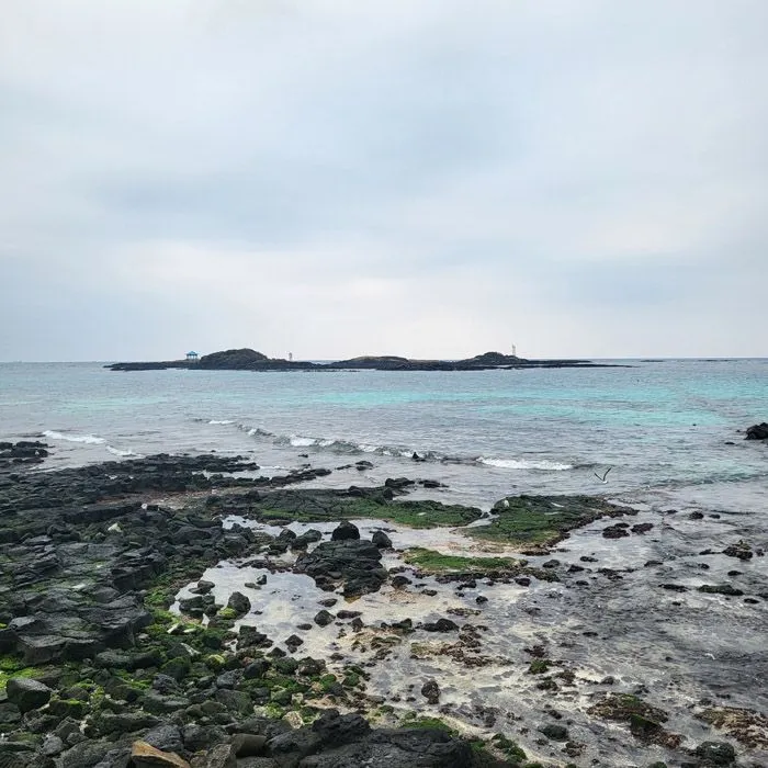 [Jocheon, Jeju] 1-minute walk to the beach / 5-minute drive to Hamdeok Beach (Traveling on foot) 27