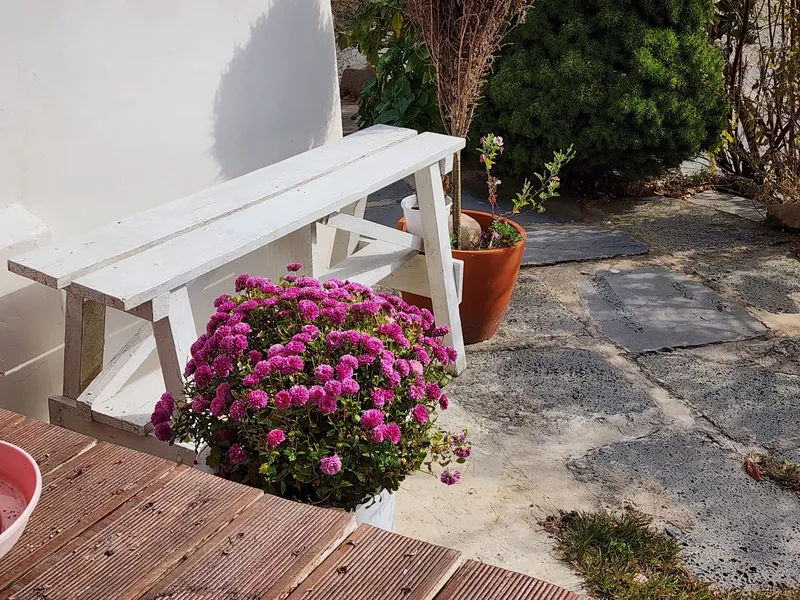 [Goseong] A two-room country house with a sense of sentimentality and a sea view 19