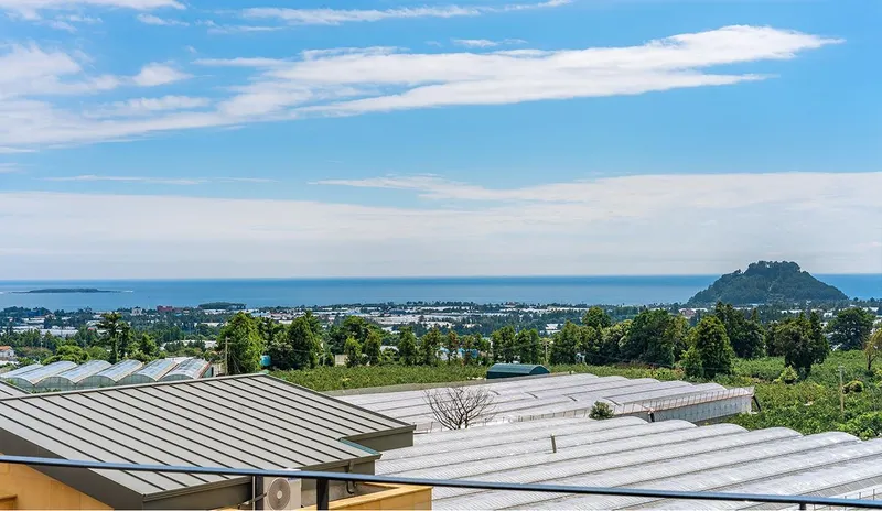 [Sanghyo-dong, Seogwipo] 201 [20 pyeong, living room + 1 queen bed, kitchen, large terrace, ocean view] 10