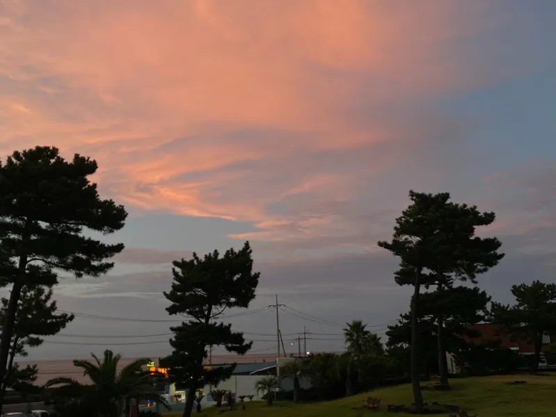 [제주 조천] 함덕해수욕장 오션뷰 55평 2층 독채, 잔디밭 반려견 가능 27