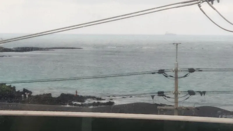 [Jocheon, Jeju] 1-minute walk to the beach / 5-minute drive to Hamdeok Beach (Traveling on foot) 13