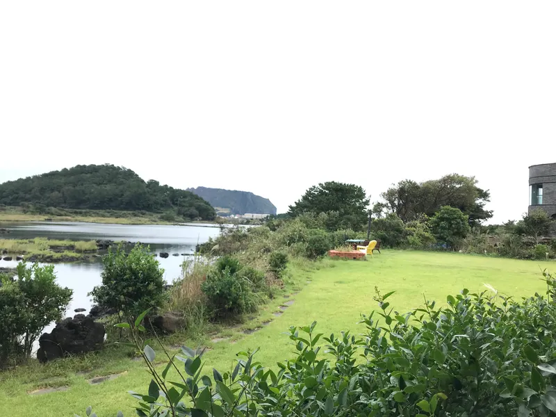 [서귀포 성산] 제주도 동부제일풍광속 힐링공간 버스정류장정도보1분#205호 14