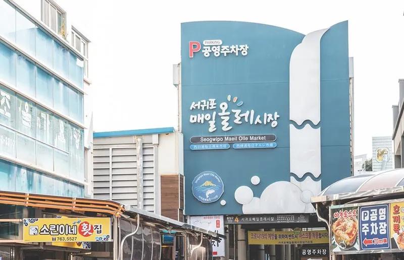 [서귀포 동홍동] 서귀포 바다까지10분, 병원약국 관광지 인접 위치최상 3룸 감성숙소 47