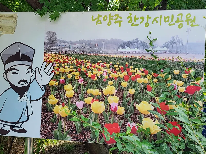 [Namyangju][Gyeonggi Namyangju-si] Three-room apartment right in front of Deokso Station and Hangang River 41