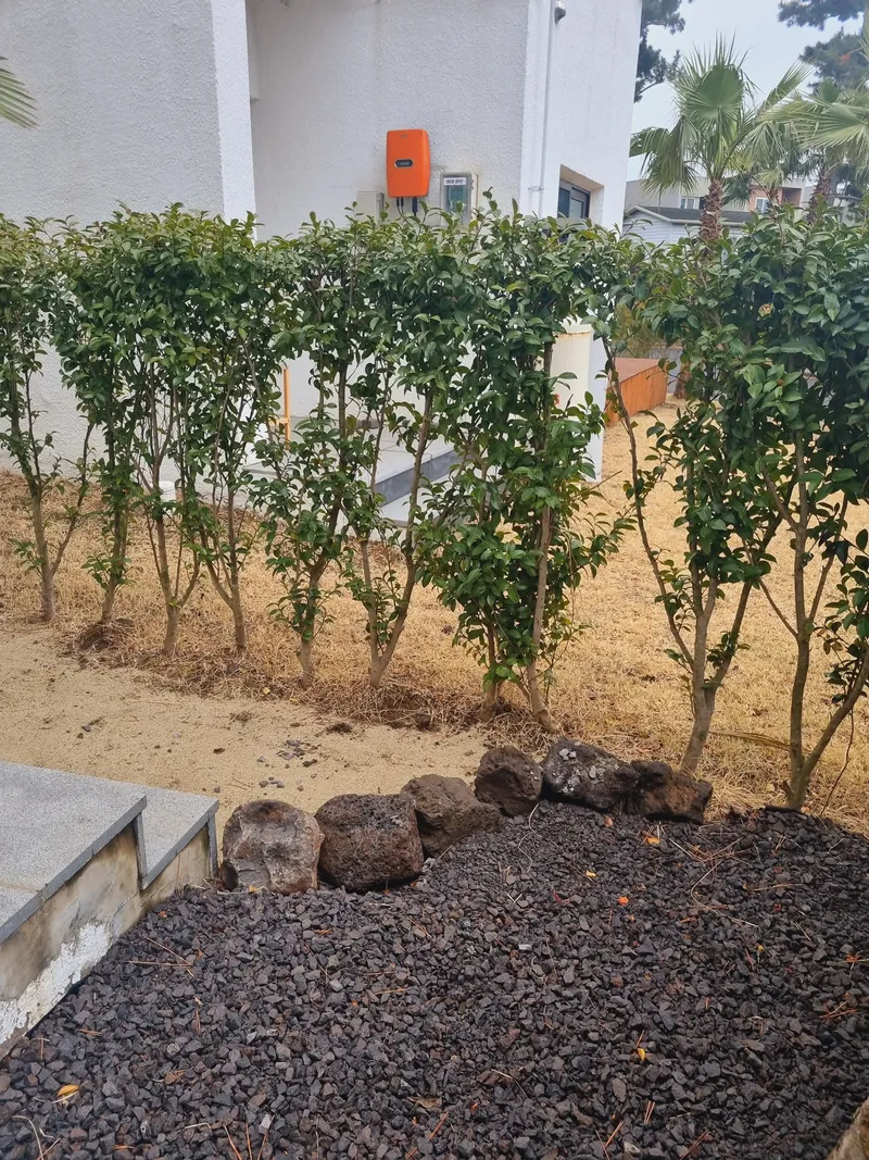 [Hallim, Jeju] Two-story independent townhouse near Hyeopjae Beach 40