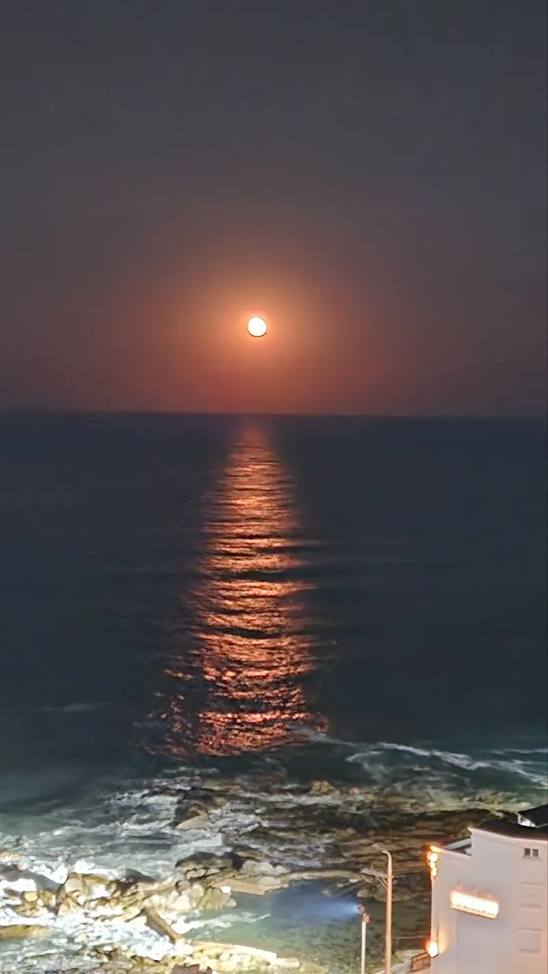 [Gangneung] Picturesque ocean view°Sunrise hotspot°Cleanliness°Healing just by staying at home°Convenient parking 44