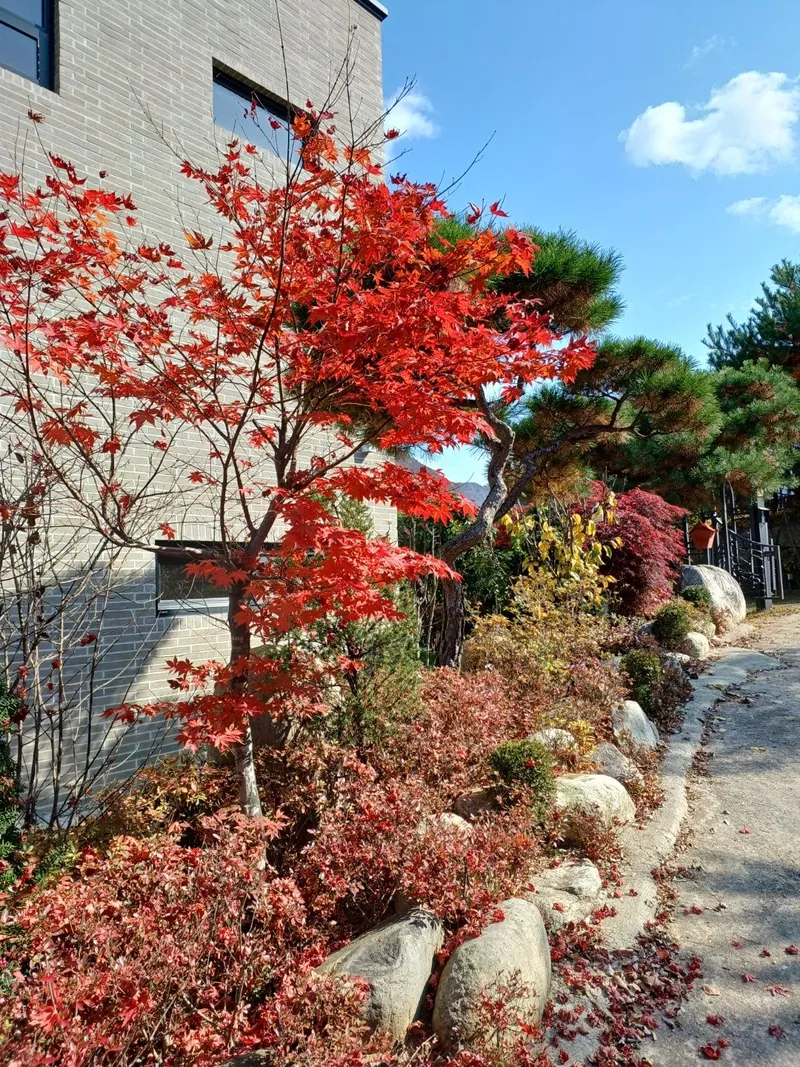 [경기 양평] 휴스테이 49