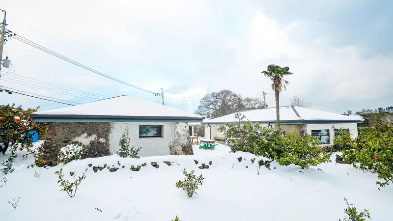 [Aewol, Jeju] Remodeled two-room traditional stone house B with a 100-year-old zelkova tree 26