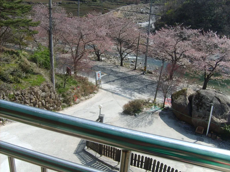 [Hadong] Jirisan Ssanggyesa Seomjin River Hwagae Market Yeongho-nam Place No. 205 8