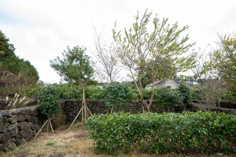 [Jocheon, Jeju][Jeju Pretty House] #Jeju Clean House #One Month Living #Hamdeok Accommodation #New Construction #3-story Independent House #Electric Car Charger 14