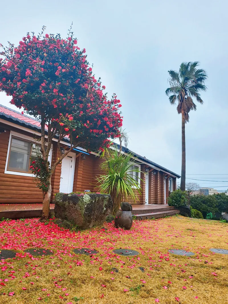 [Aewol, Jeju] 6. Log cabin in a palm forest #Near the sea #Workshop experience #Bulmyeong 30
