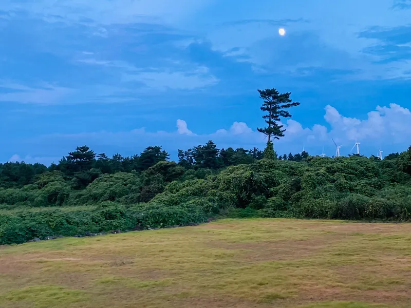 [제주 조천] 함덕해수욕장 오션뷰 55평 2층 독채, 잔디밭 반려견 가능 30