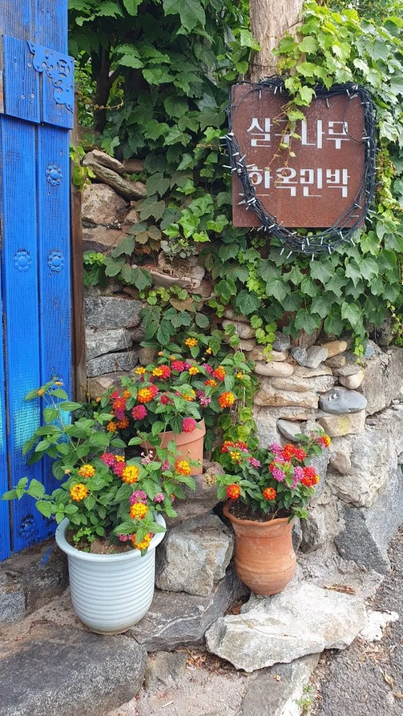 [Damyang][Damyang, Jeollanam-do] A detached yellow mud house with a beautiful garden 39