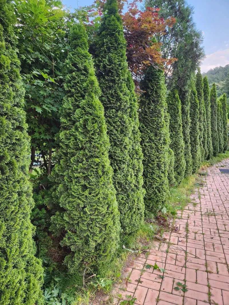 [충북 청주] 조용한 전원마을에 위치한 청정 독채 #애견동반가능 21