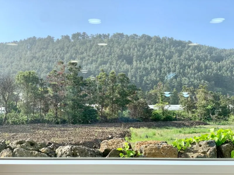 [Aewol, Jeju] Jeju's representative mountain peak front view, private jacuzzi, Insta-worthy accommodation 44