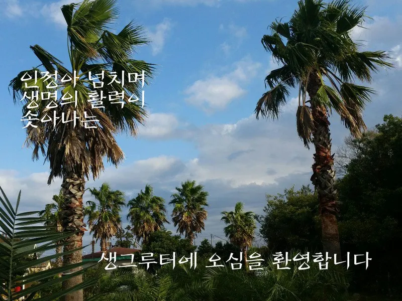 [Pyoseon, Seogwipo] 201, a country house full of humanity in a palm tree forest by the sea 21