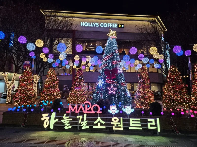 [서울 마포] 핫플합정홍대올리모델링2룸(채광좋고햇볕좋은1층같은살짝반지층) 43