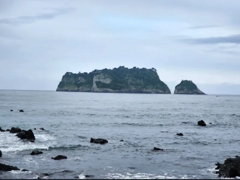 [Beophwan-dong, Seogwipo] ♡Right in front of Beophwan Beach♡ 3 rooms, 2 bathrooms, Olle Trail Course 7, 5 minutes by car to E-Mart 67