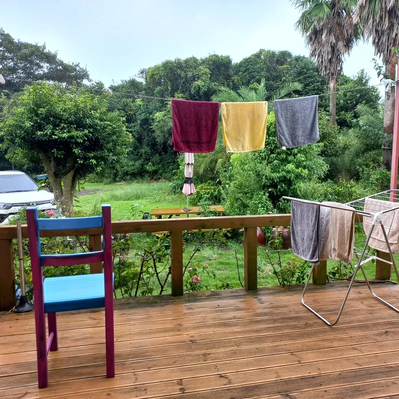 [Pyoseon, Seogwipo] 102nd house in a country house full of humanity in a palm tree forest by the sea 5