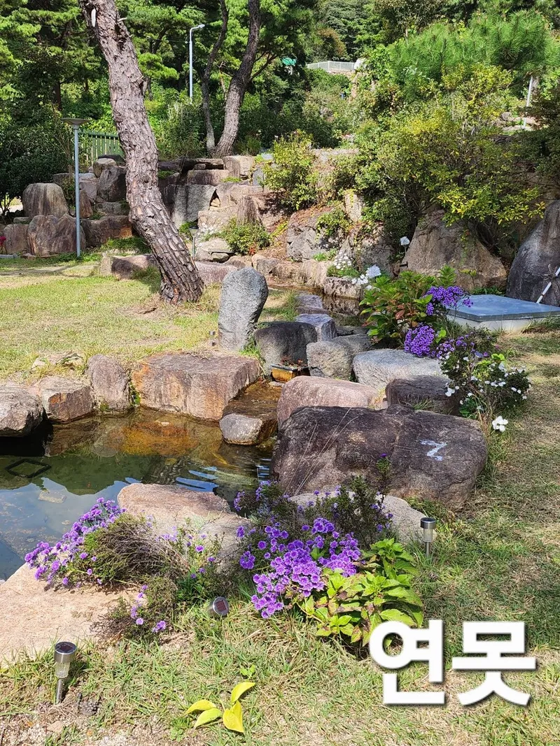 [경남 산청] 마당넓은  지리산뷰 독채+별채 벽난로 시골살기, 23