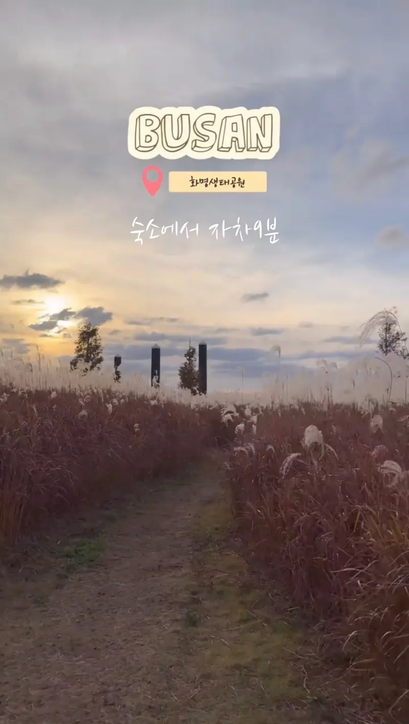 [부산 북구] 레트로 감성 숙소 17