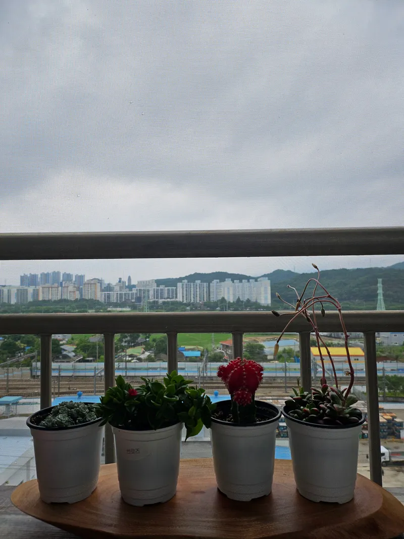[Seo-gu, Daejeon] End view healing space - History 33