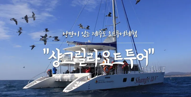 [서귀포 중문동] 리모델링,15평,오션뷰,한라산뷰,바다오름 302호 46